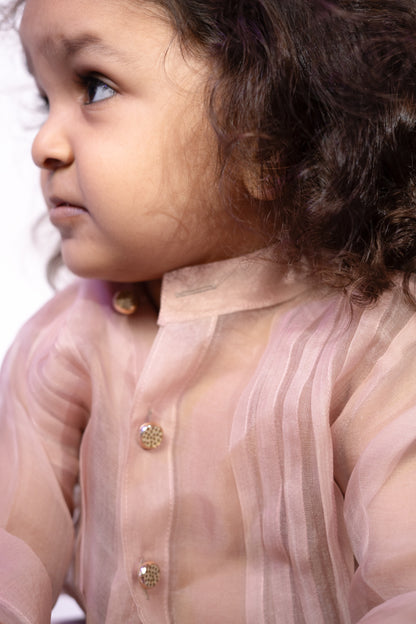 Organza Shirt